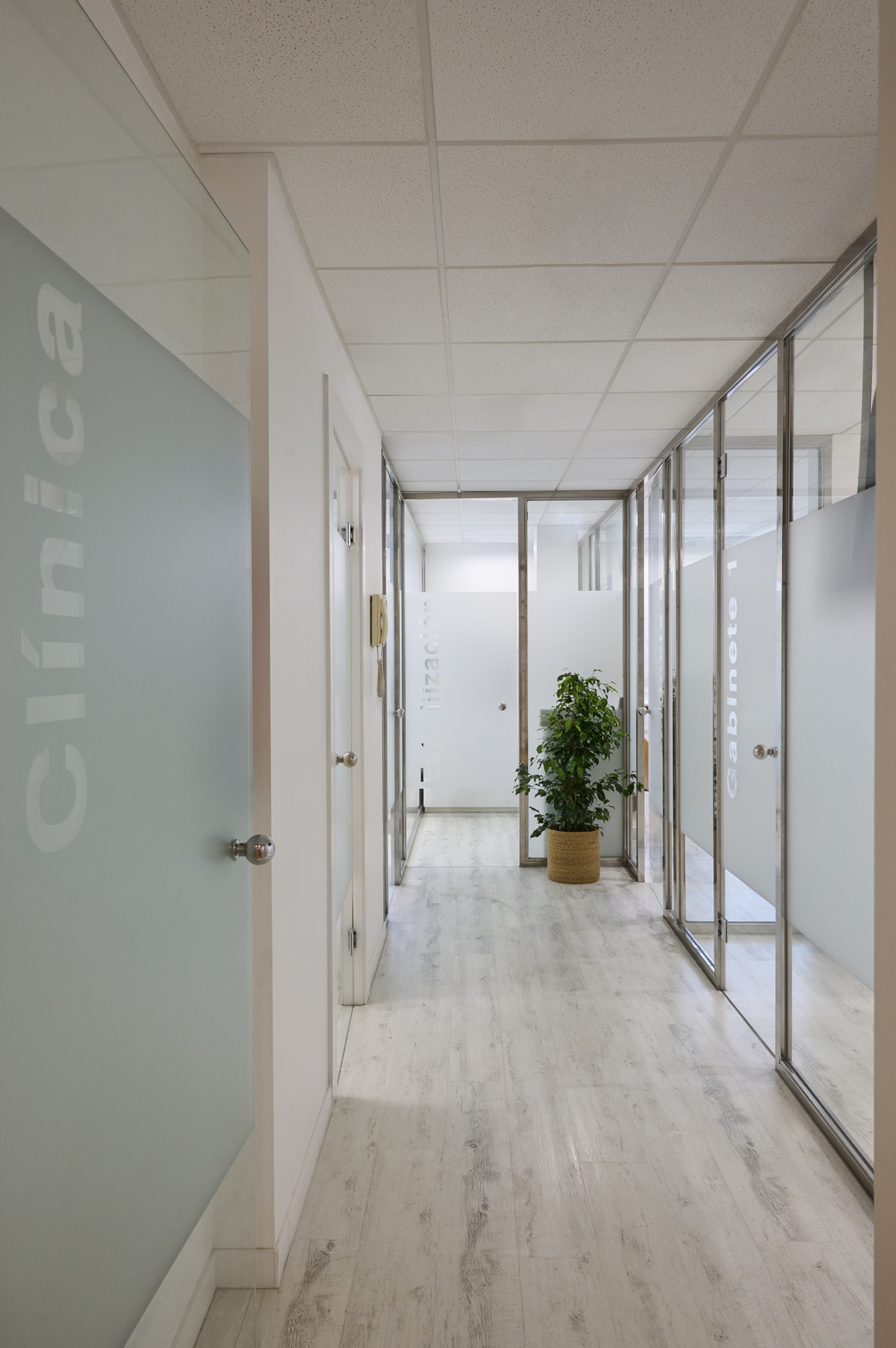 Dentista en Pontevedra